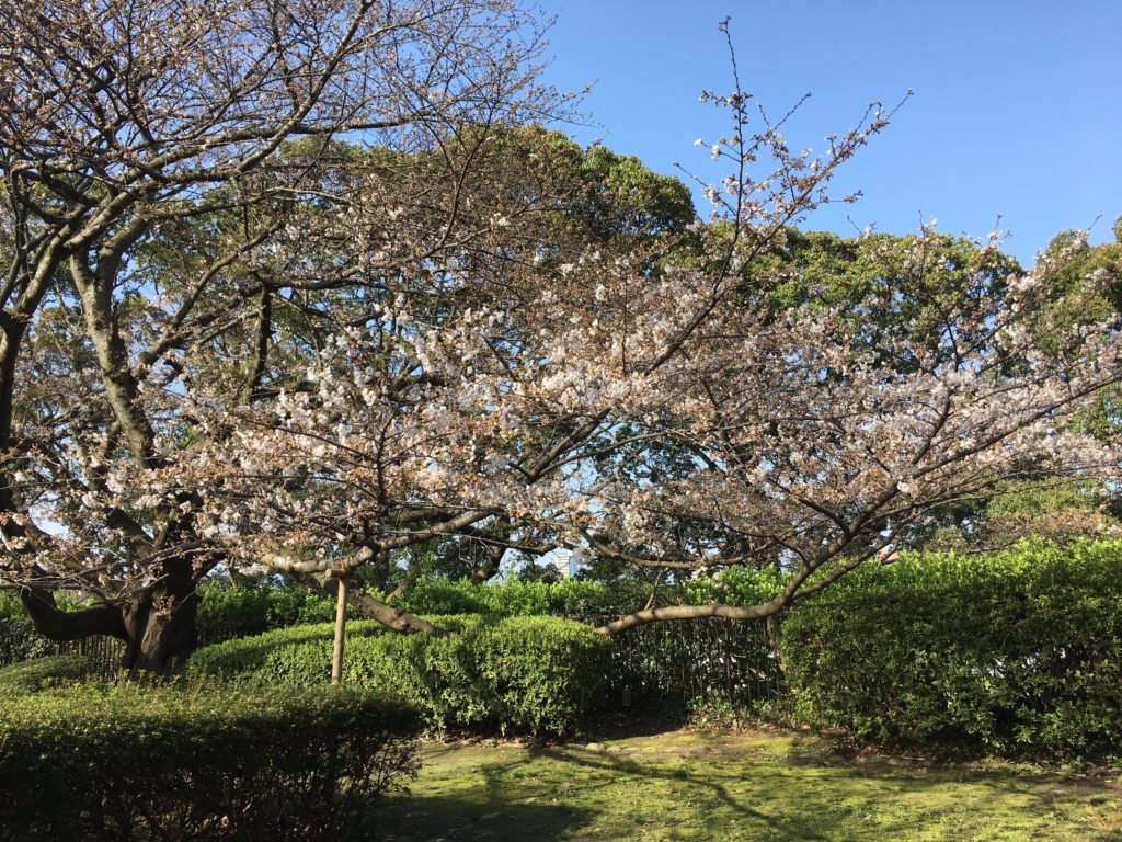 中学校「社会科の目標」解説を縦横に読む