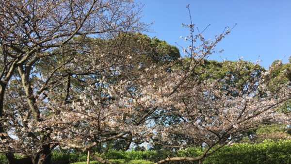 中学校「社会科の目標」解説を縦横に読む（次期学習指導要領を見通して）