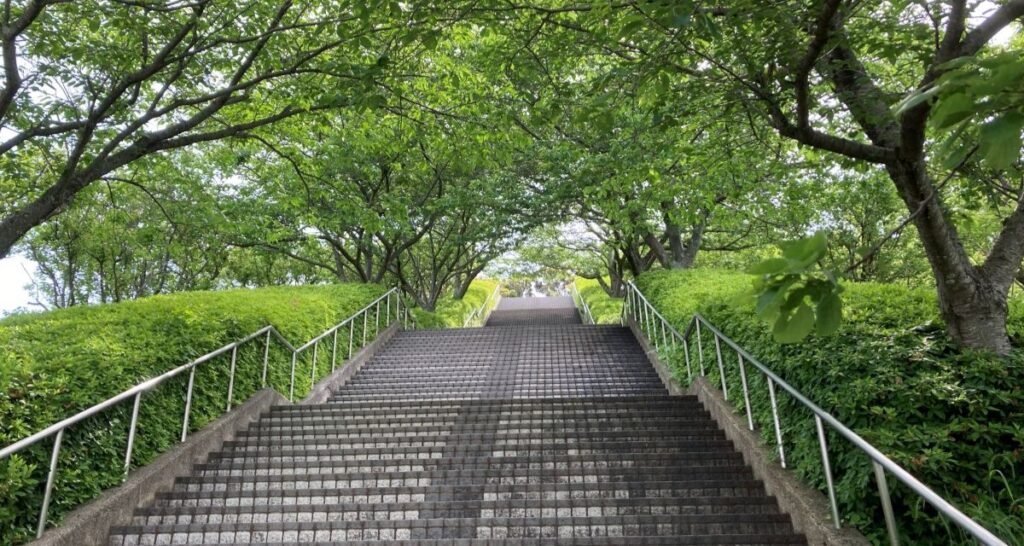 次期学習指導要領における、理科教育の改善の方向性